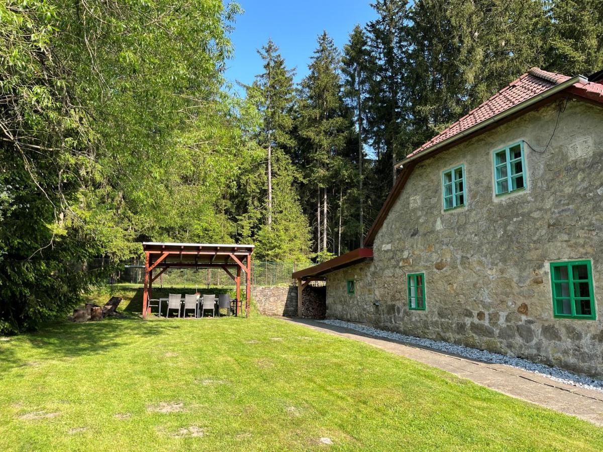 Pod Lipenskou Hrazi Holiday home *