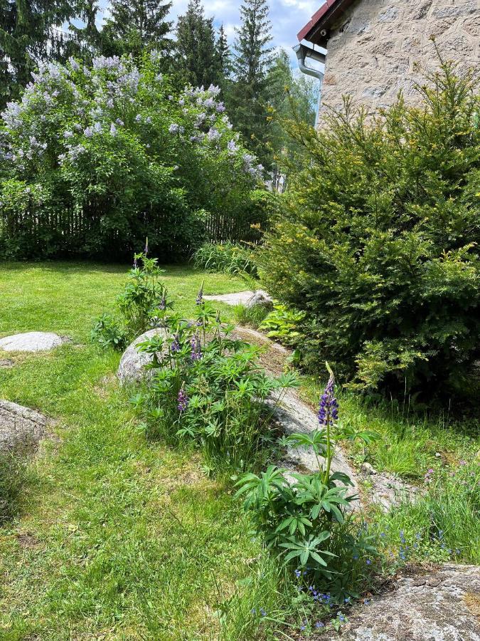 Pod Lipenskou Hrazi Holiday home