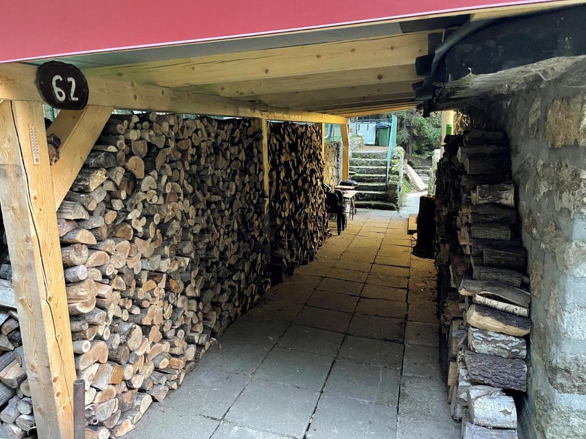 Pod Lipenskou Hrazi Holiday home Loucovice