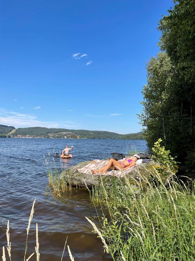 Pod Lipenskou Hrazi